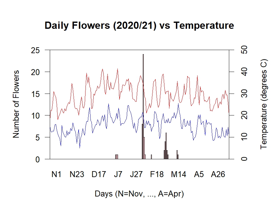 Flowers vs Temperature 2020/21